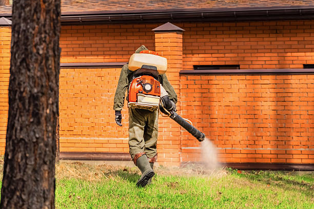Trusted Mosquito Control service in Columbus, NE - Nex Pest Control